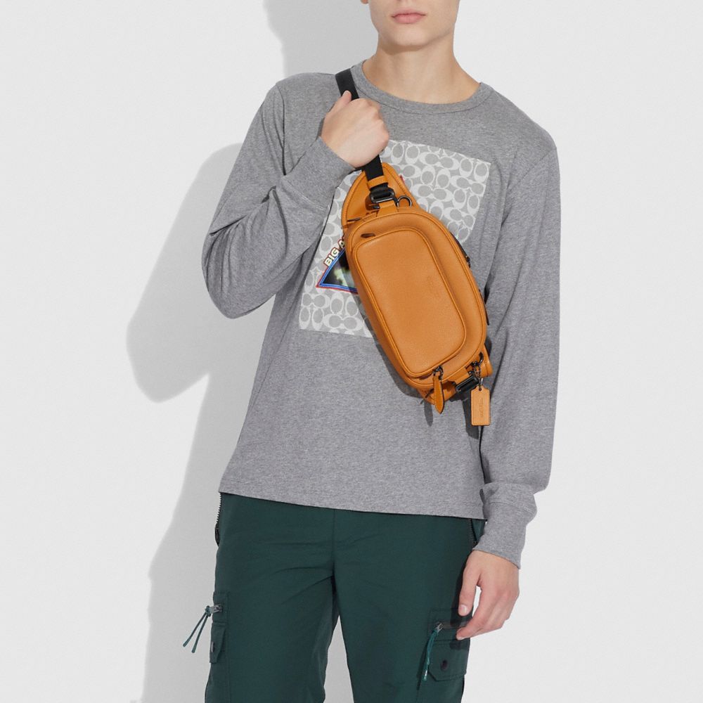 SAC CEINTURE HITCH - Alternate View 3