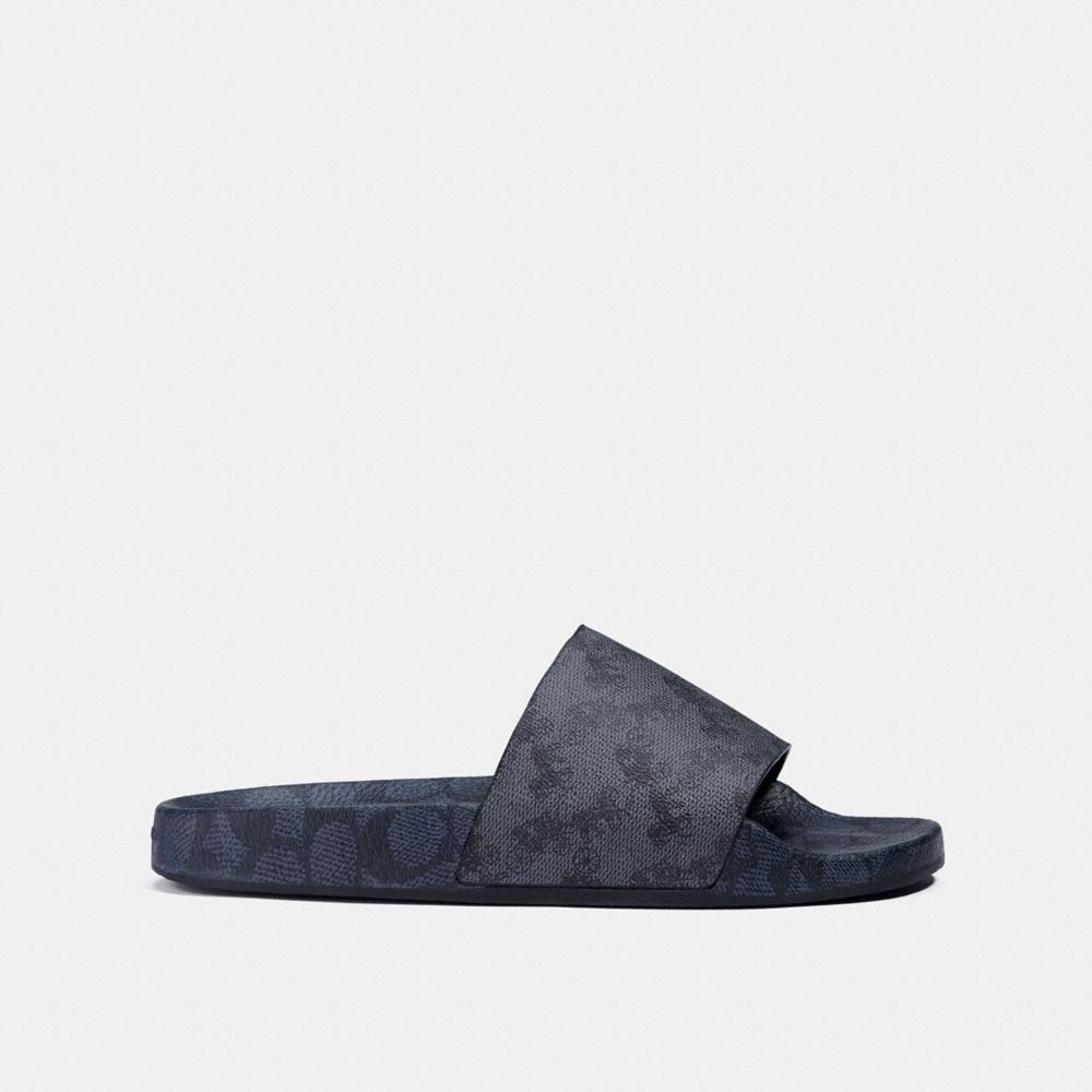 QA_AUTO Slide With Horse And Carriage Print, Blue Steel Charcoal, Product