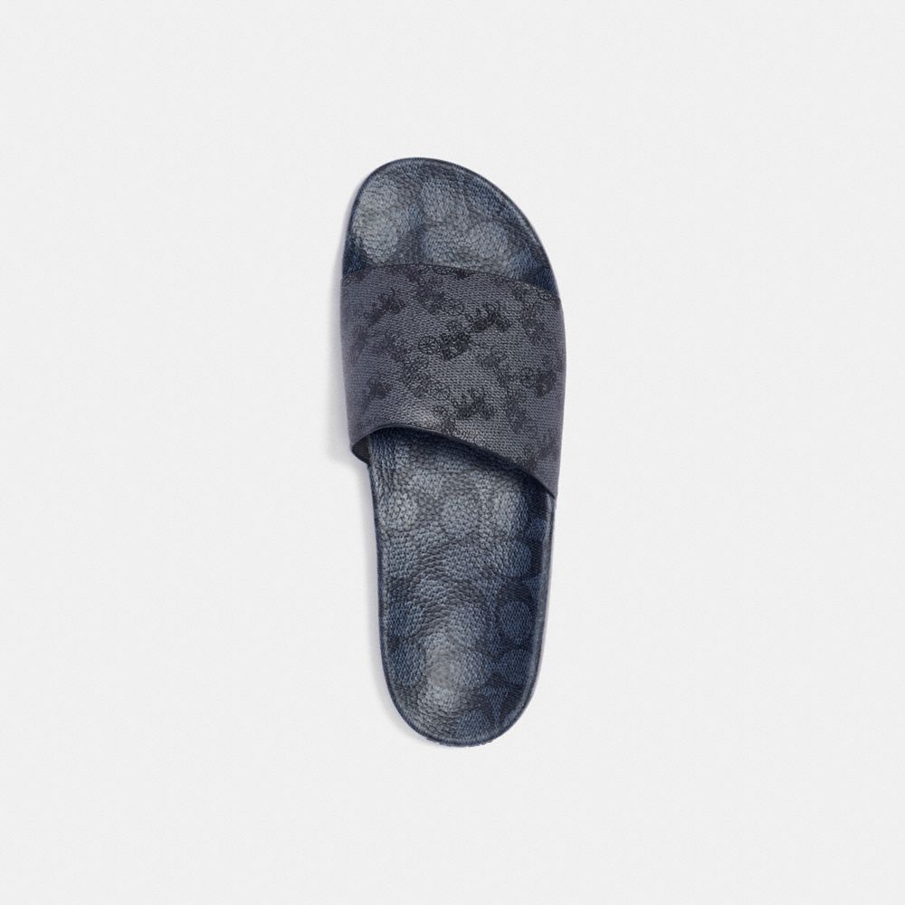 QA_AUTO Slide With Horse And Carriage Print, Blue Steel Charcoal, Product