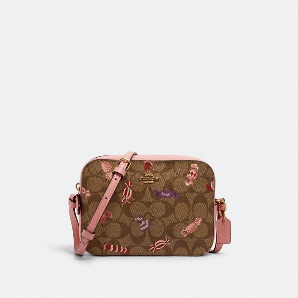 gucci coach bag
