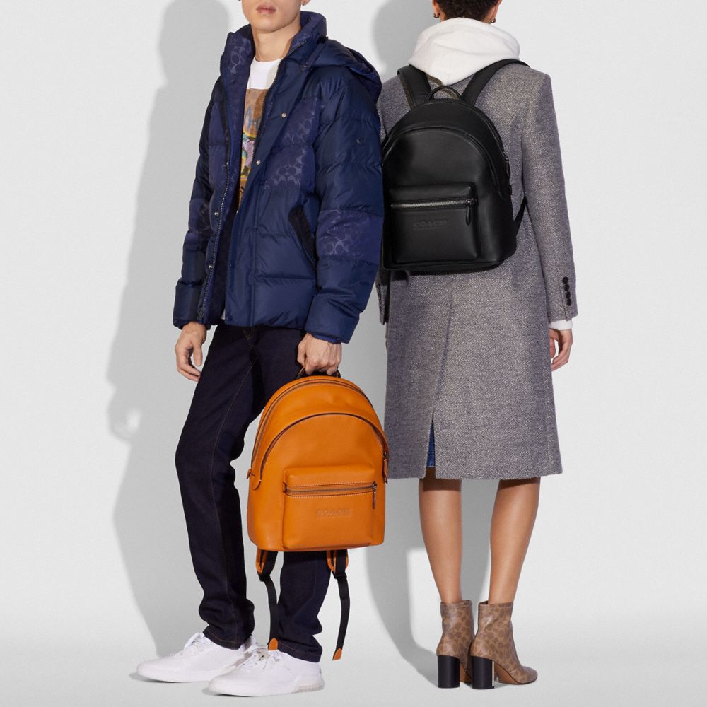 SAC &Agrave; DOS CHARTER - Alternate View 1