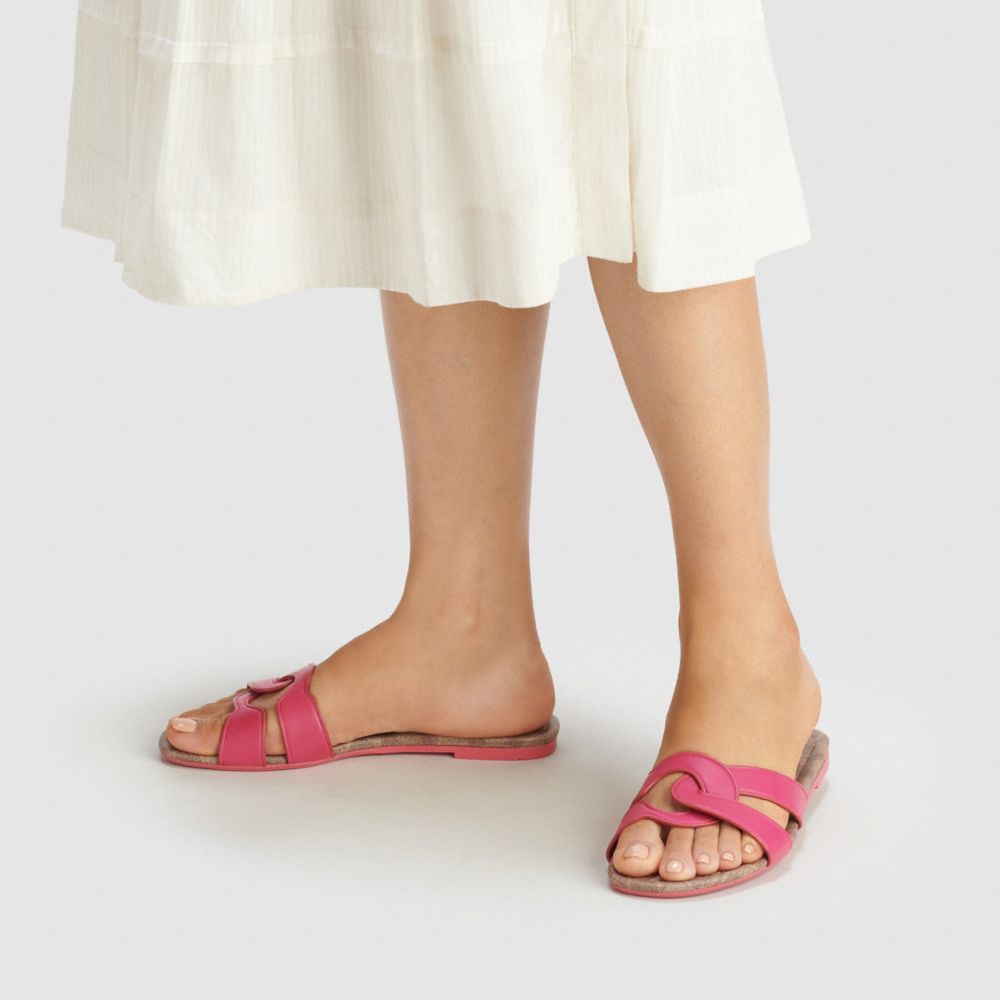 coach pink slides