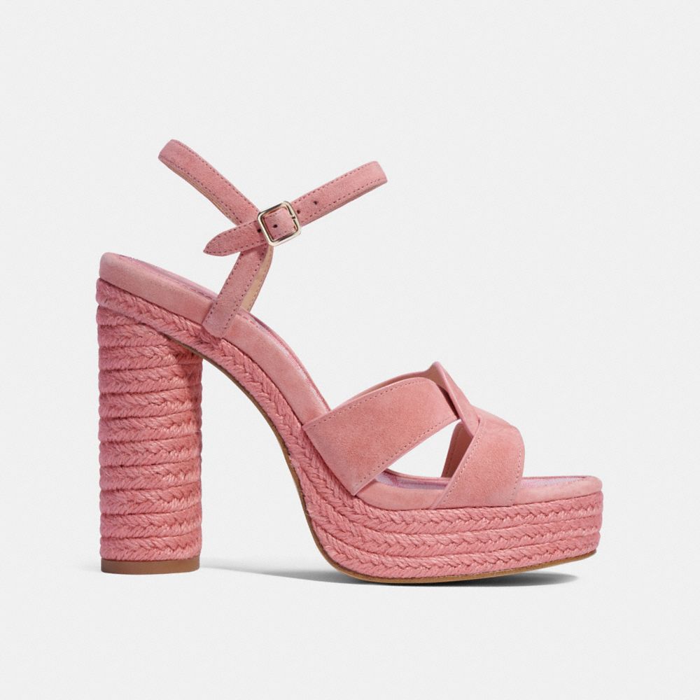 talina coach