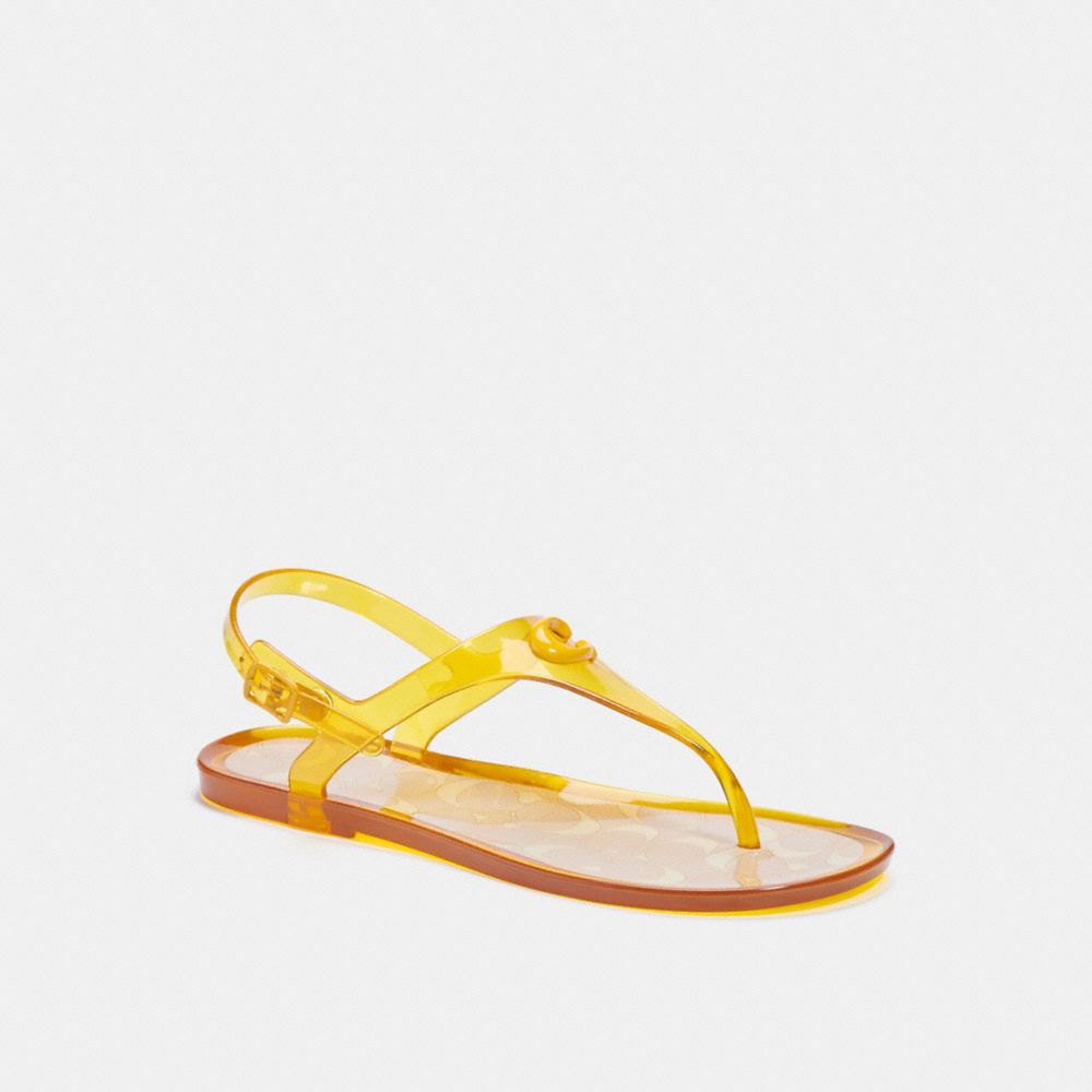 Coach In Yellow