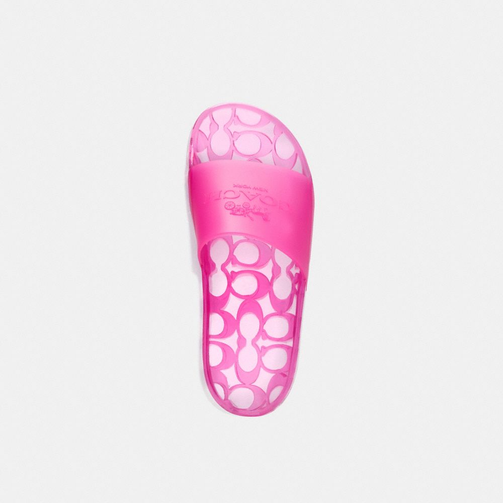 clear coach slides