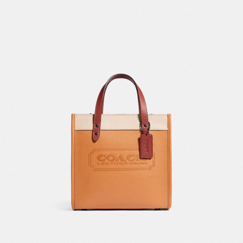 coach field tote 22 ivory