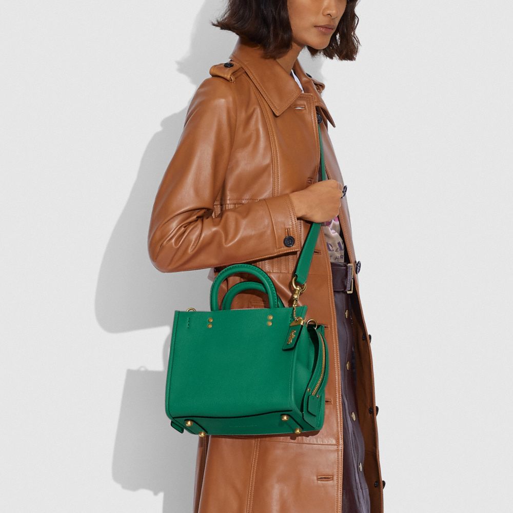 ROGUE 25 - Alternate View 1