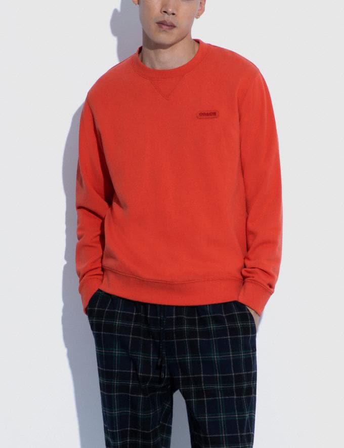 Coach Essential Crewneck in Organic Cotton Chili Translations 2.1 Retail & Outlet Translations Alternate View 1