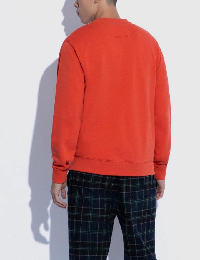 Coach Essential Crewneck in Organic Cotton Chili Translations 2.1 Retail & Outlet Translations Alternate View 2