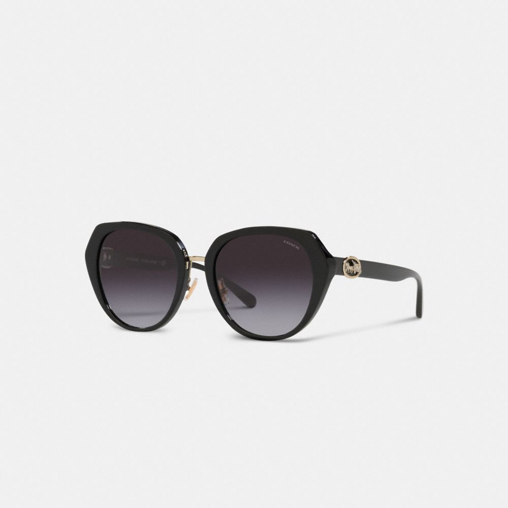 COACH®,Horse And Carriage Oversized Round Sunglasses,Round,Tortoise,Logo,Metal,Adjustable Nose Pads,Casual,Multi Color