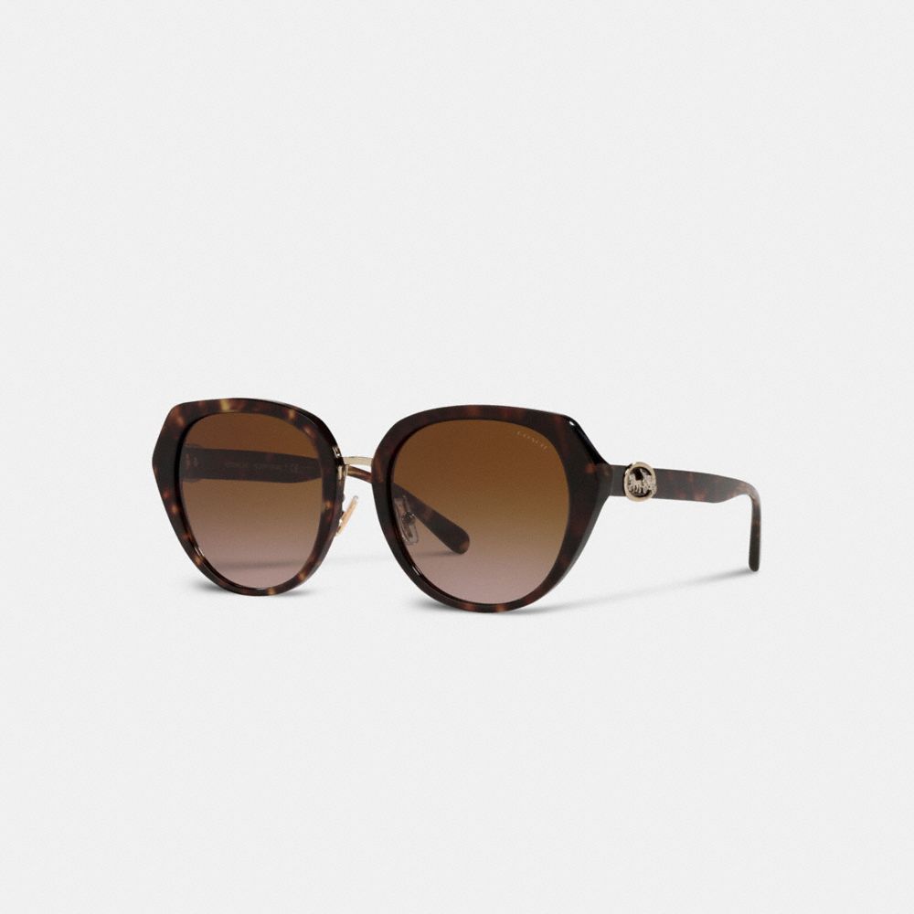COACH®,Horse And Carriage Oversized Round Sunglasses,Round,Tortoise,Logo,Metal,Adjustable Nose Pads,Casual,Brown,Front View
