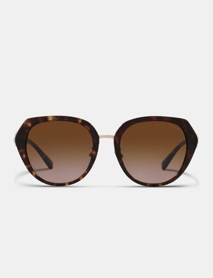 Coach Horse and Carriage Oversized Round Sunglasses Dark Tortoise Translations 2.1 Retail Additions Translations Alternate View 1