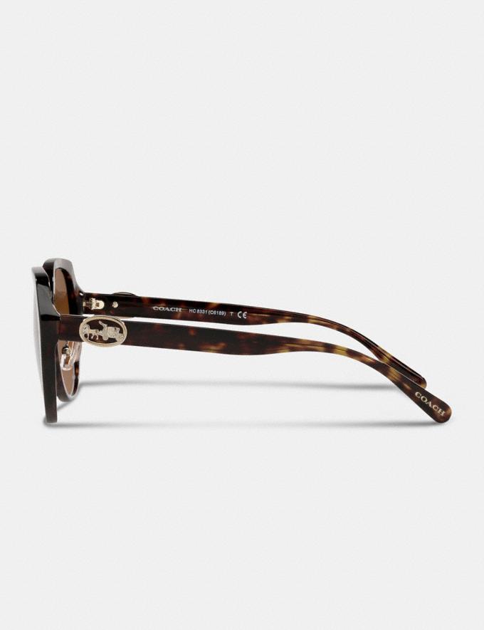 Coach Horse and Carriage Oversized Round Sunglasses Dark Tortoise Translations 2.1 Retail Additions Translations Alternate View 2