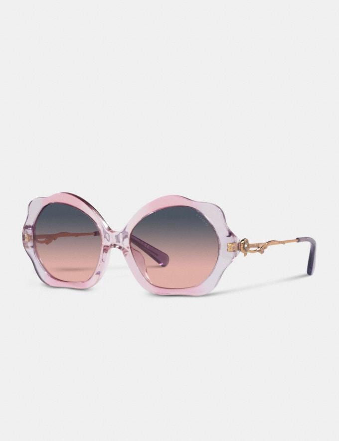 Coach Tea Rose Wire Petal Round Sunglasses Transparent Pink Gradient Translations 5.1 Retail Translations  