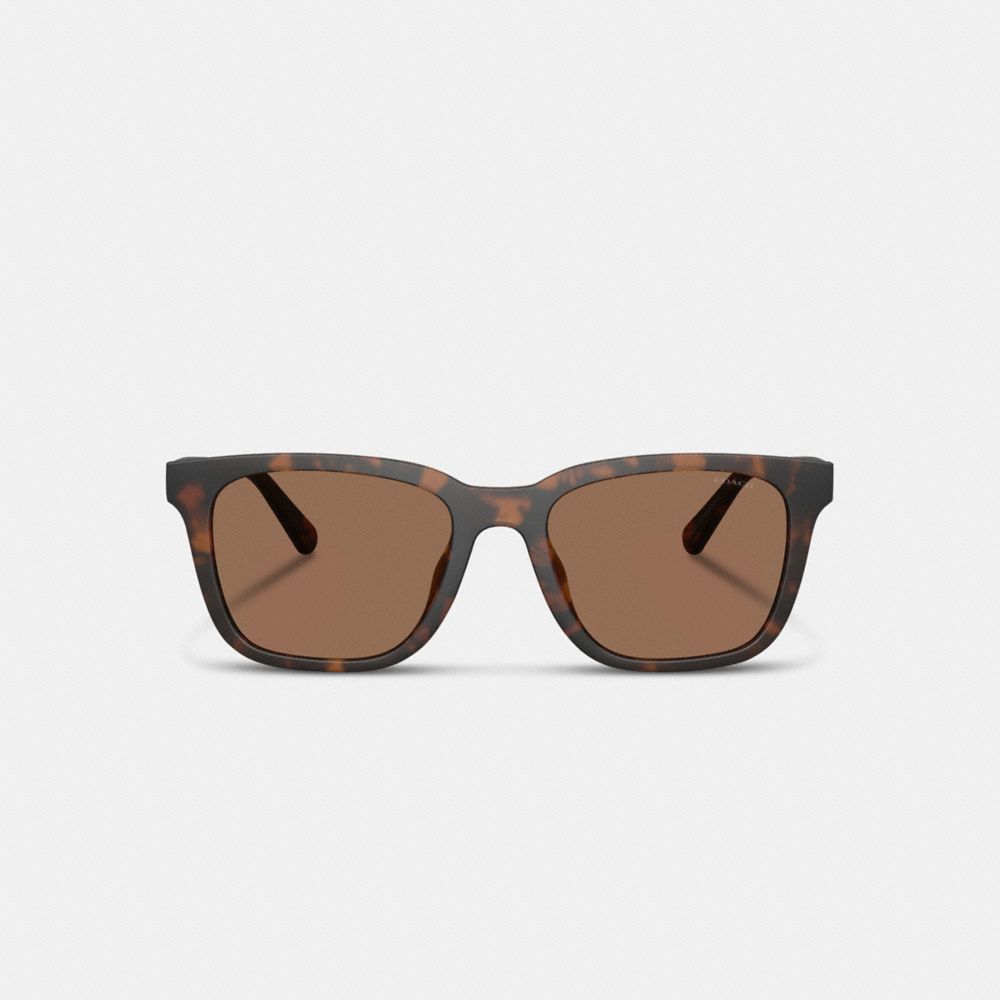 COACH®,C Hardware Textured Temple Square Sunglasses,Wayfarer,Square,Tortoise,Plastic,Logo,Metal,Word Embellishment,Color M...,Brown,Inside View,Top View