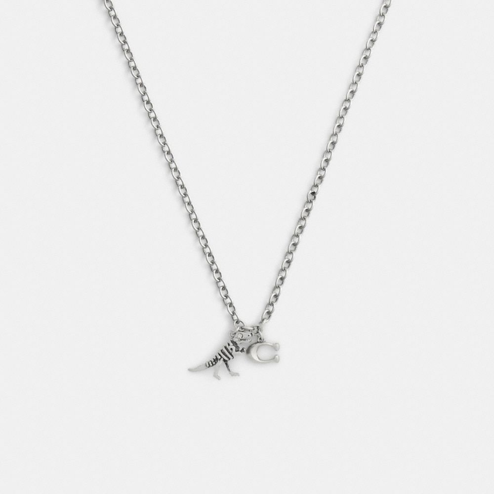 COACH®,Skeletal Rexy And Signature Pendant Necklace,Choker,Glass,Cubic Zirconia,Logo,Novelty Embellishment,Gem Embellishme...,Clear,Front View
