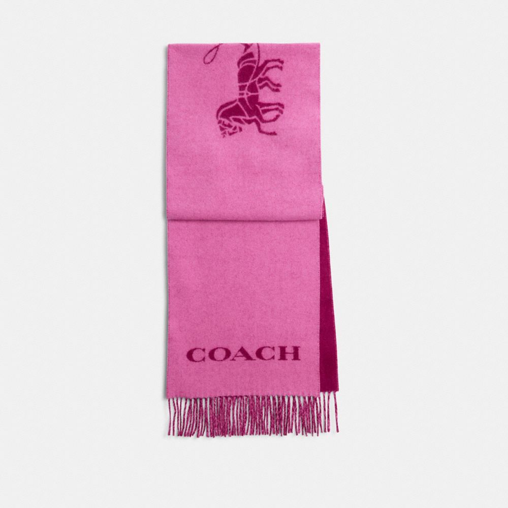 COACH®,HORSE AND CARRIAGE CASHMERE MUFFLER,cashmere,