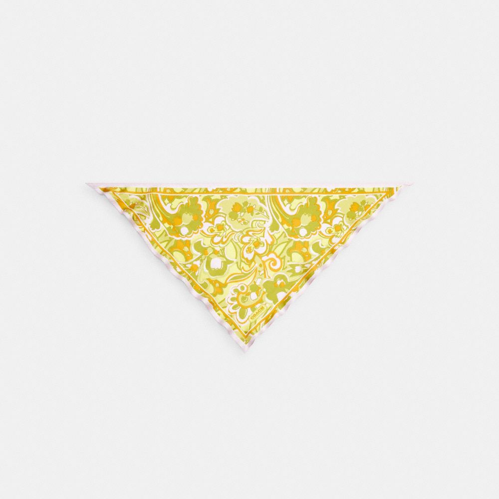 COACH®,Andrea Paisley Print Silk Triangle Scarf,Silk,Bandana,Casual,Yellow,Front View