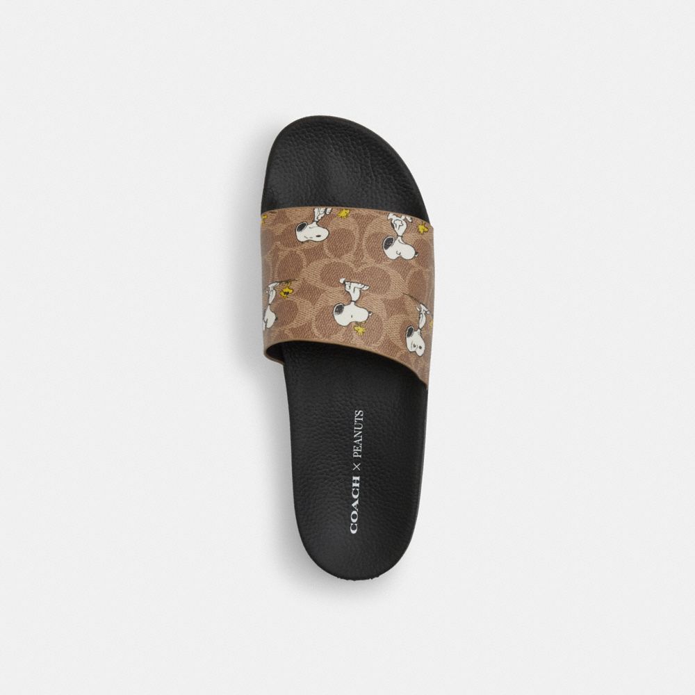 COACH®,Coach X Peanuts Pool Slide In Signature Canvas With Snoopy Print,Rubber,EVA,Canvas,Mesh,Slides,Pool,Brown,Inside View,Top View