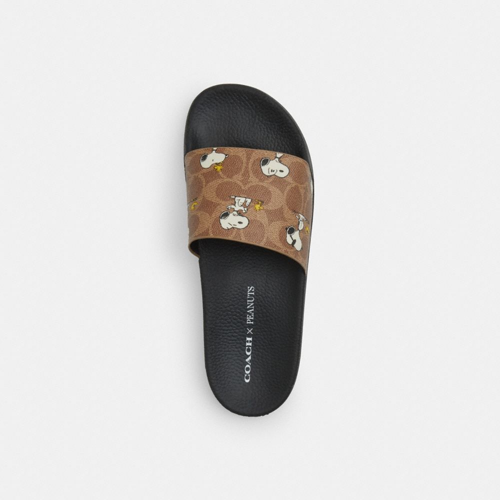 COACH®,Coach X Peanuts Udele Sport Slide In Signature Canvas With Snoopy Print,Rubber,Canvas,Slides,Casual,Brown,Inside View,Top View