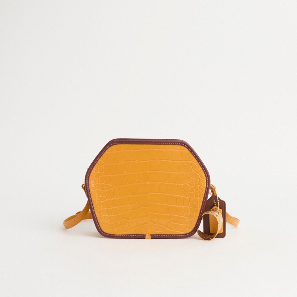 COACH®,Upcrafted Zip Geometric Pouch In Alligator,,Front View
