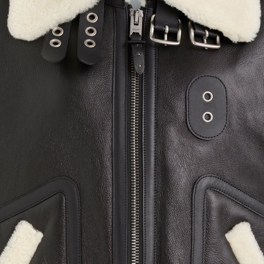 COACH®,Restored Shearling Aviator Jacket,Lambskin,Shearling,Fur Embellishment,Piping,Grommet,Color Block,Casual,Black,Scale View