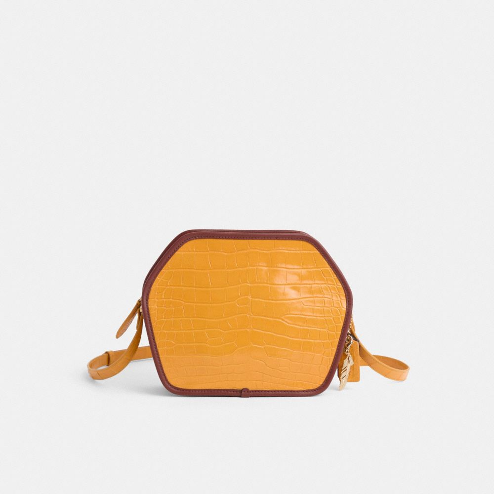 COACH®,Upcrafted Zip Geometric Pouch In Alligator,,Front View
