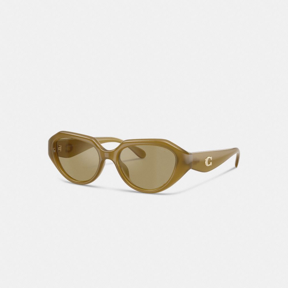 COACH®,C Hardware Geometric Sunglasses,Cat Eye,Plastic,Metal,Integrated Nose Pads,Gold Metal,Casual,Brown,Front View