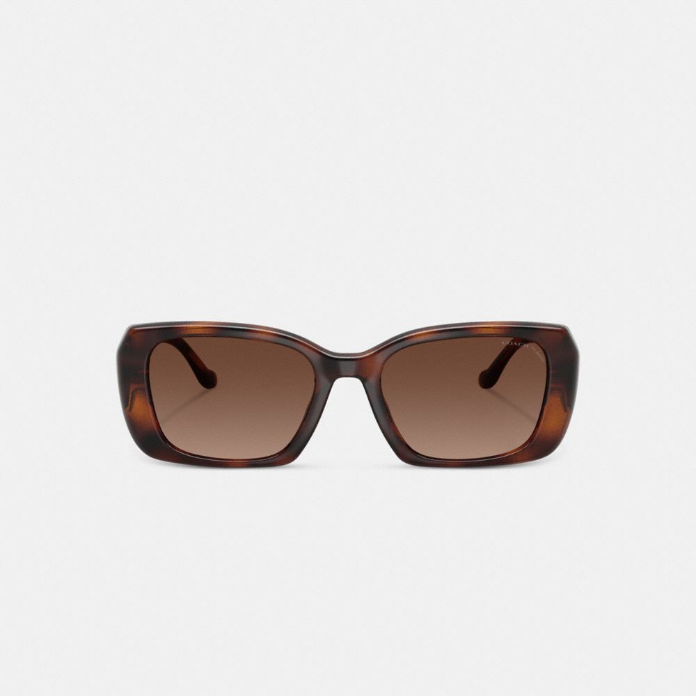 COACH®,Maxi Sculpted C Oversized Rectangle Sunglasses,Brown,Inside View,Top View