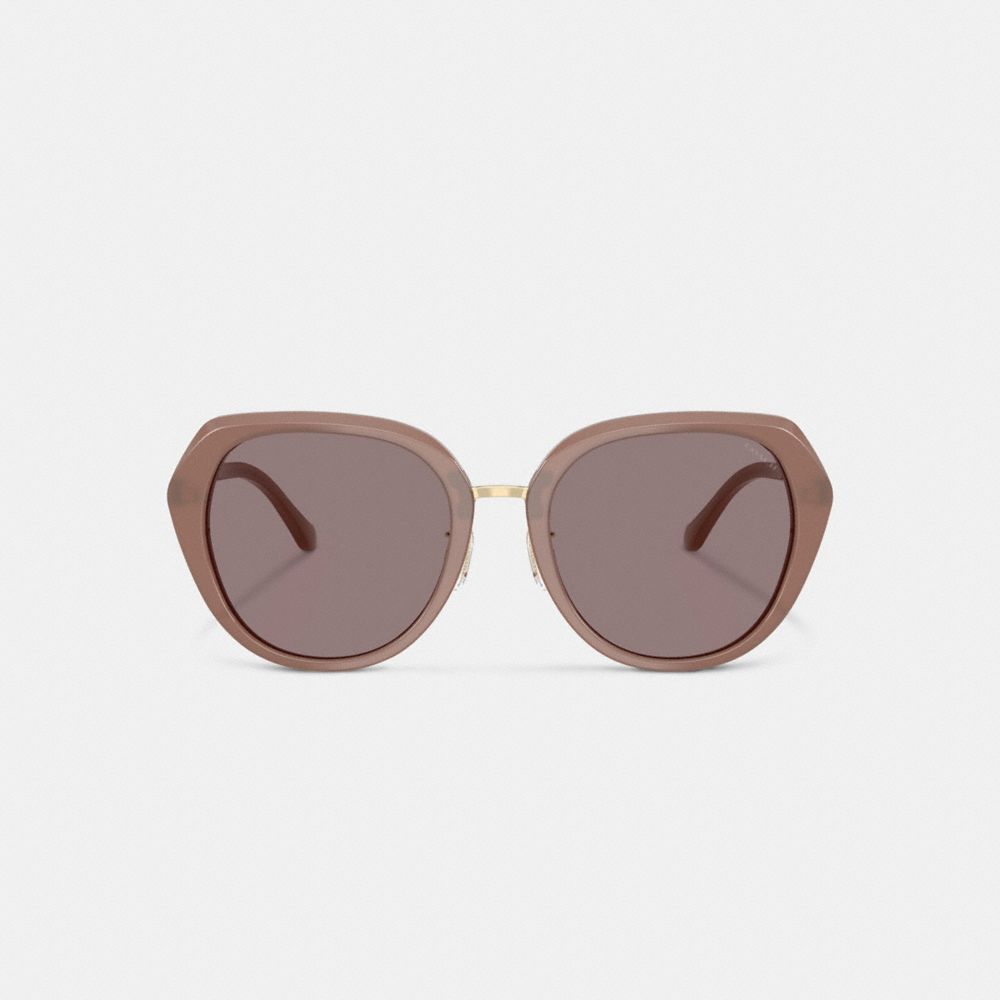 COACH®,Maxi Sculpted C Oversized Round Sunglasses,Brown,Inside View,Top View