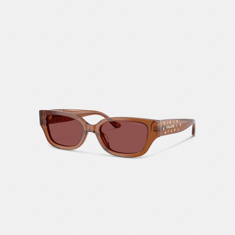 COACH®,Charms Narrow Rectangle Sunglasses,Rectangle,Plastic,Metal,Integrated Nose Pads,Casual,Brown,Front View