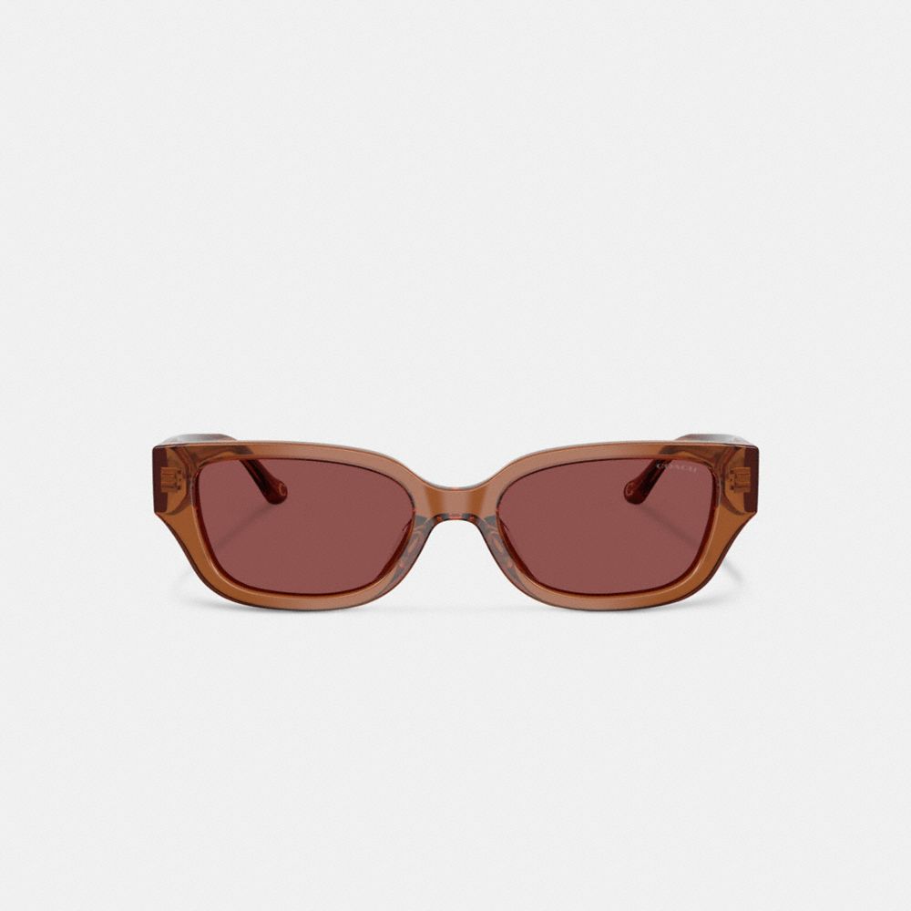 COACH®,Charms Narrow Rectangle Sunglasses,Rectangle,Plastic,Metal,Integrated Nose Pads,Casual,Brown,Inside View,Top View