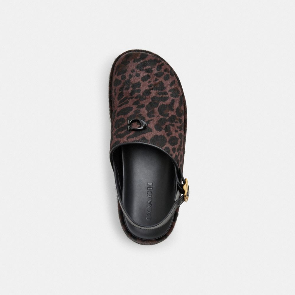 COACH®,Sculpted C Platform Clog With Leopard Print,Multi Color,Inside View,Top View