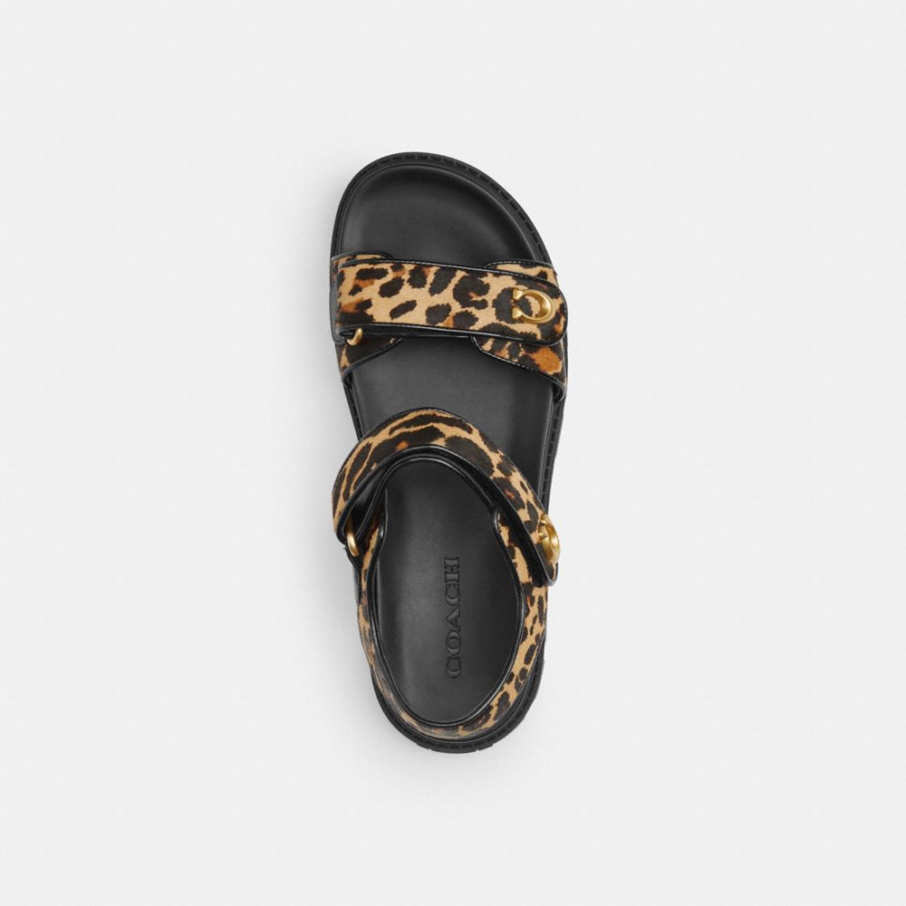 COACH®,Brynn Sandal With Leopard Print,Multi Color,Inside View,Top View