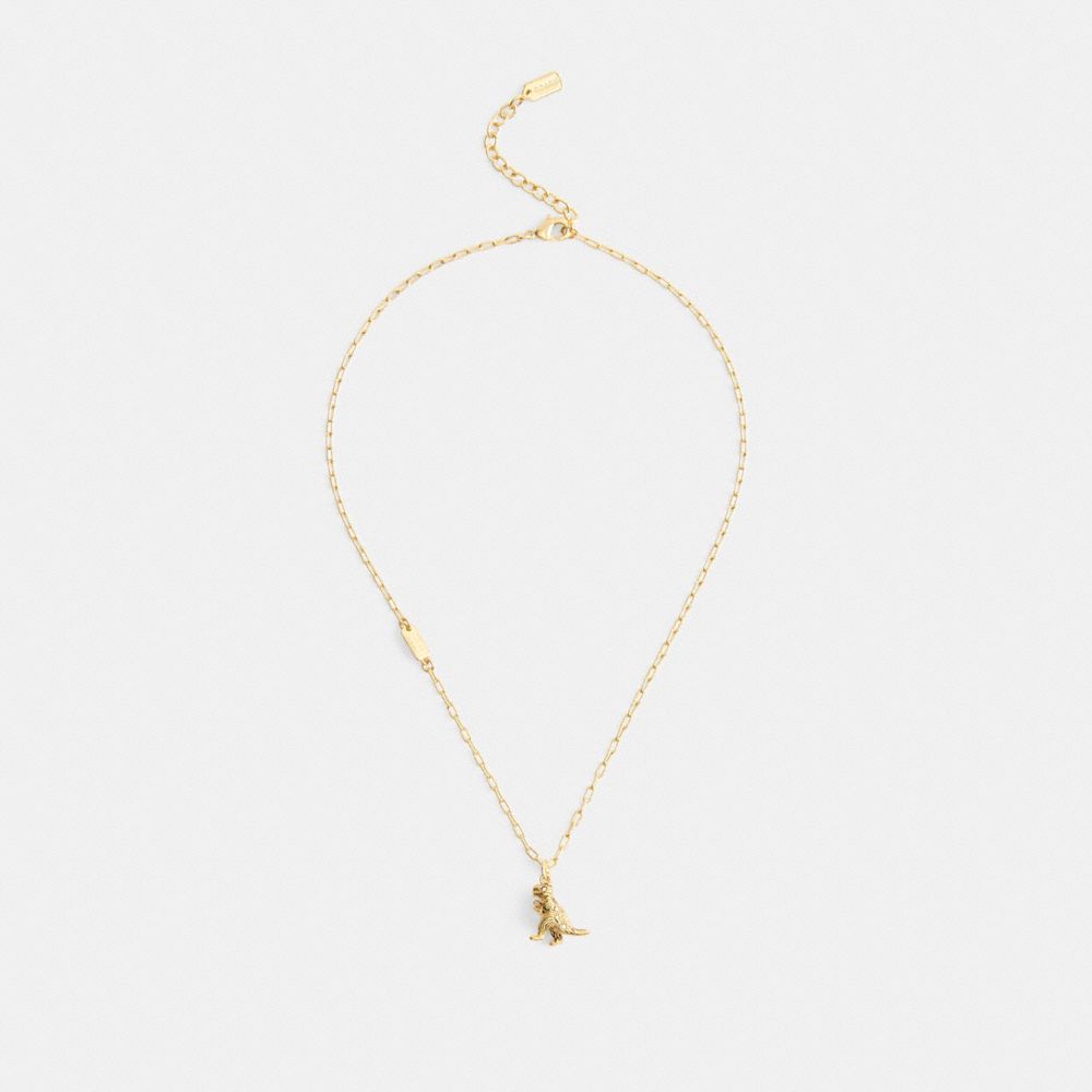 COACH®,Brushed Rexy Pendant Necklace,Clear,Inside View,Top View