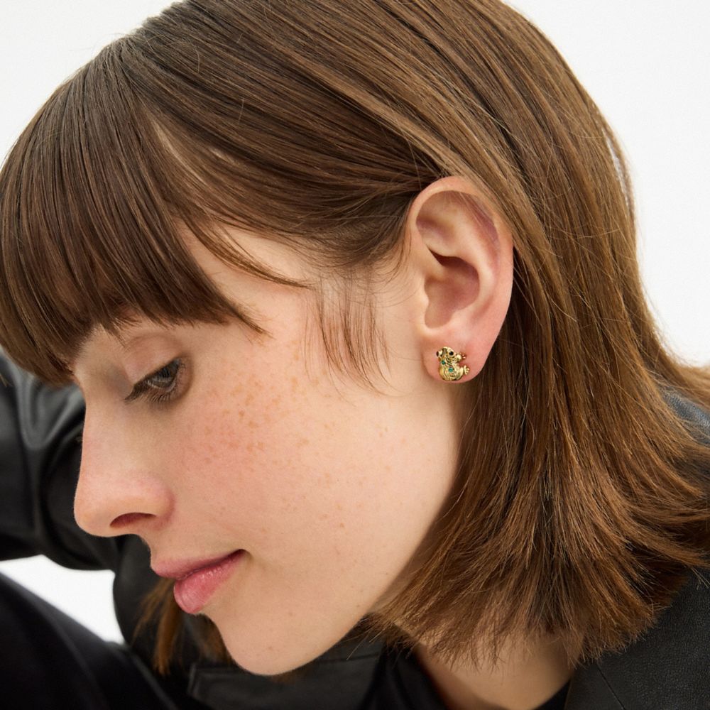 COACH®,Brushed Frog Stud Earrings,Multi Color,Detail View