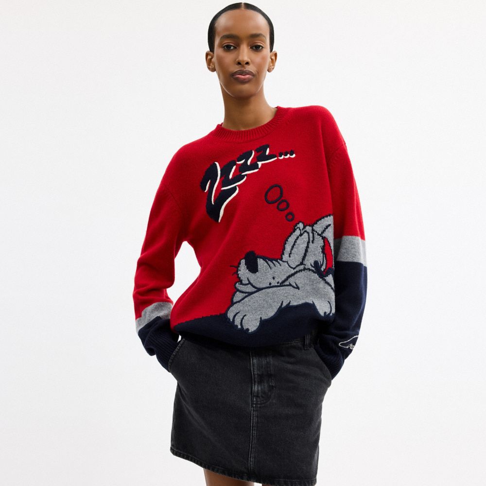 COACH®,Disney X Coach Pluto Crewneck Sweater,Cashmere,Acrylic,Wool,Sweater,Pullover,Color Block,Casual,Red,Scale View