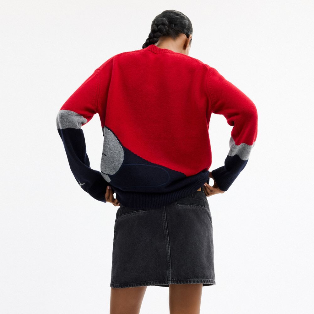 COACH®,Disney X Coach Pluto Crewneck Sweater,Cashmere,Acrylic,Wool,Sweater,Pullover,Color Block,Casual,Red,Scale View