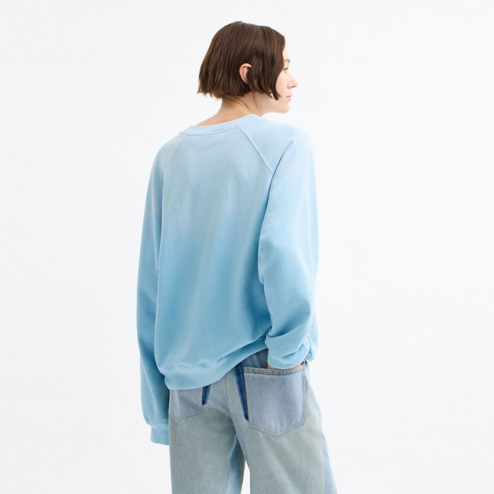 COACH®,Disney X Coach Pluto Crewneck Sweatshirt,Cotton,Sweatshirt,Casual,Blue,Scale View