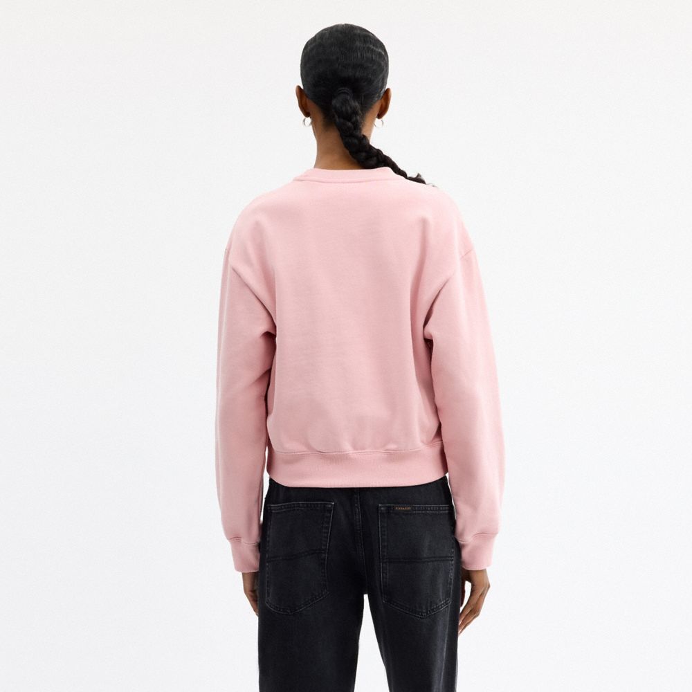 COACH®,Candy Crewneck Sweater,Cotton,Sweatshirt,Logo,Casual,Pink,Scale View