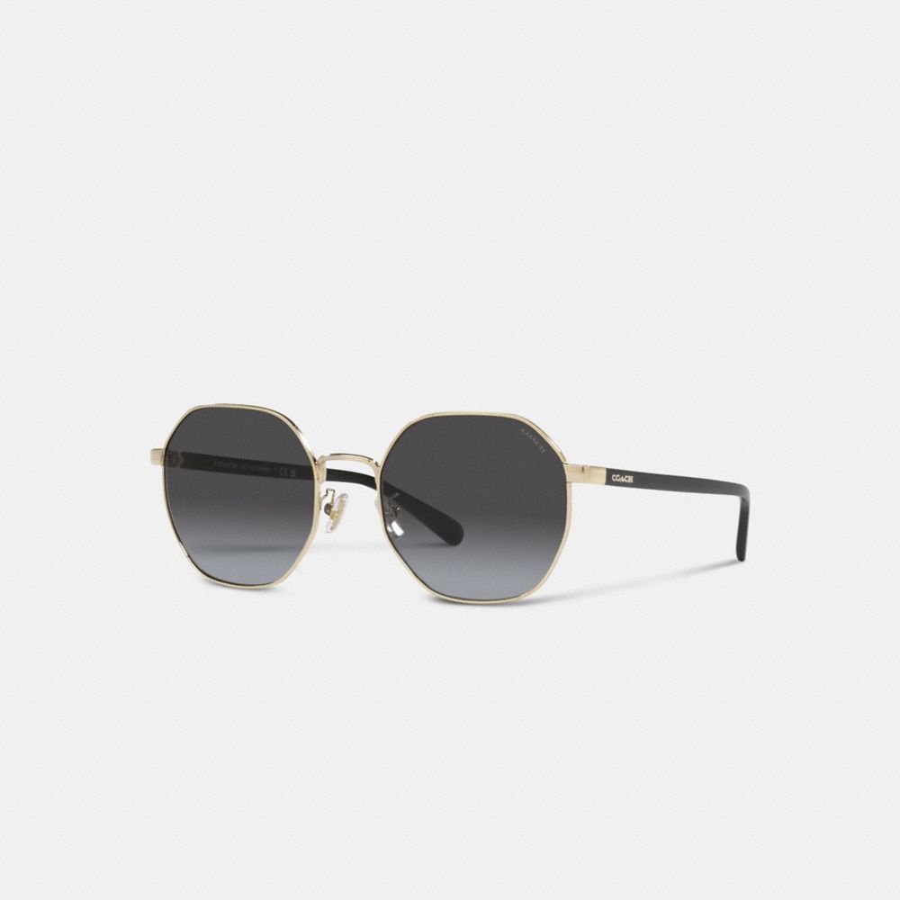 COACH®,Metal Hexagon Sunglasses,Hexagon,Word Embellishment,Logo,Adjustable Nose Pads,Casual,Gray