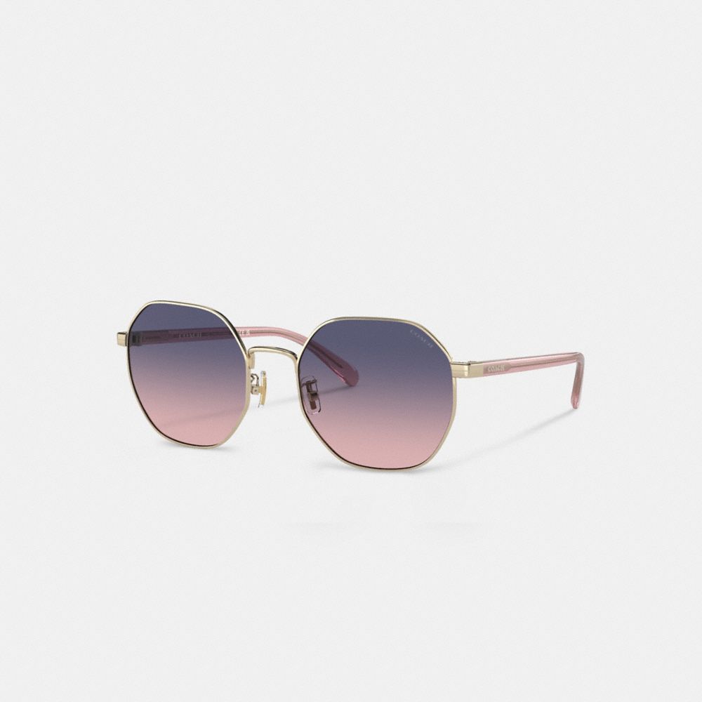 COACH®,Metal Hexagon Sunglasses,Hexagon,Word Embellishment,Logo,Adjustable Nose Pads,Casual,Multi Color