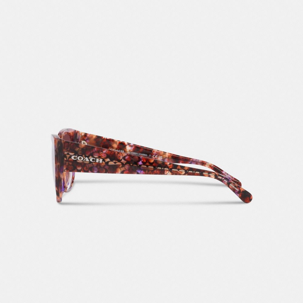 Signature Rounded Cat Eye Sunglasses, , Product