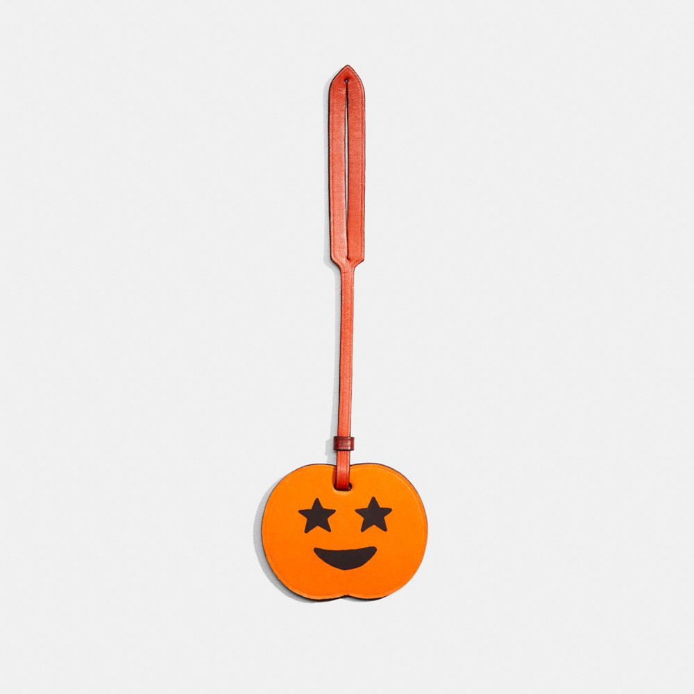 COACH®,REMADE PUMPKIN BAG CHARM,,Front View