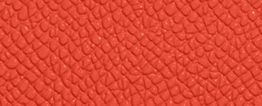 COACH®,Card Case,Leather,Card Case,Metal,Logo,Casual,Burnt Orange