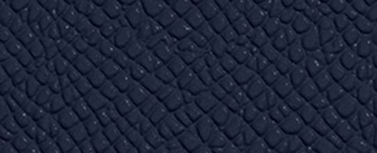 COACH®,Card Case,Leather,Card Case,Metal,Logo,Casual,Navy