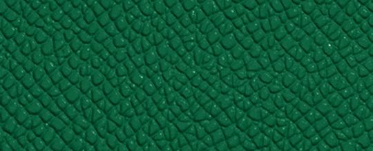 COACH®,Card Case,Leather,Card Case,Metal,Logo,Casual,Green