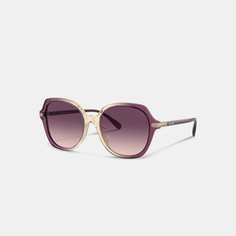 COACH®,Wrap Around Hangtag Oversized Geometric Round Sunglasses,Square,Tortoise,Logo,Metal,Integrated Nose Pads,Casual,Multi Color,Front View