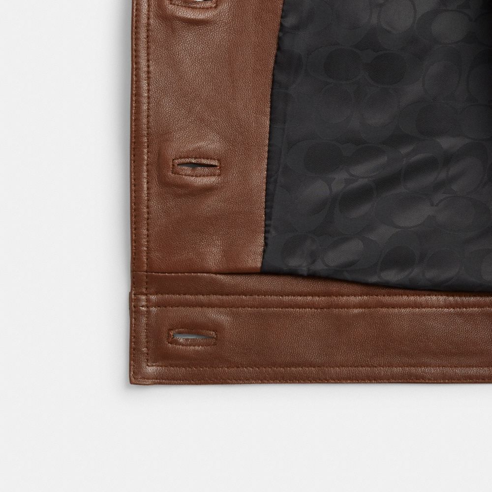 COACH®,Shrunken Leather Jacket,Leather,Polyester,Viscose,Leather,Logo,Metal,Lined,Day Party,Brown,Inside View,Top View