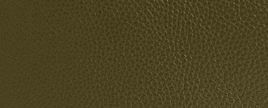 COACH®,Polished Pebble Leather Lana Shoulder Bag,